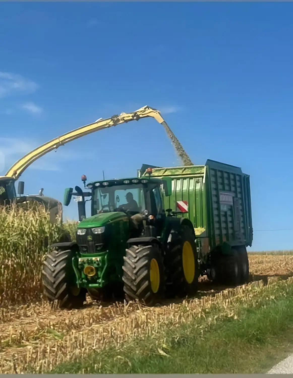        Silagetransport mit Kurzschnitt - Ladewagen 