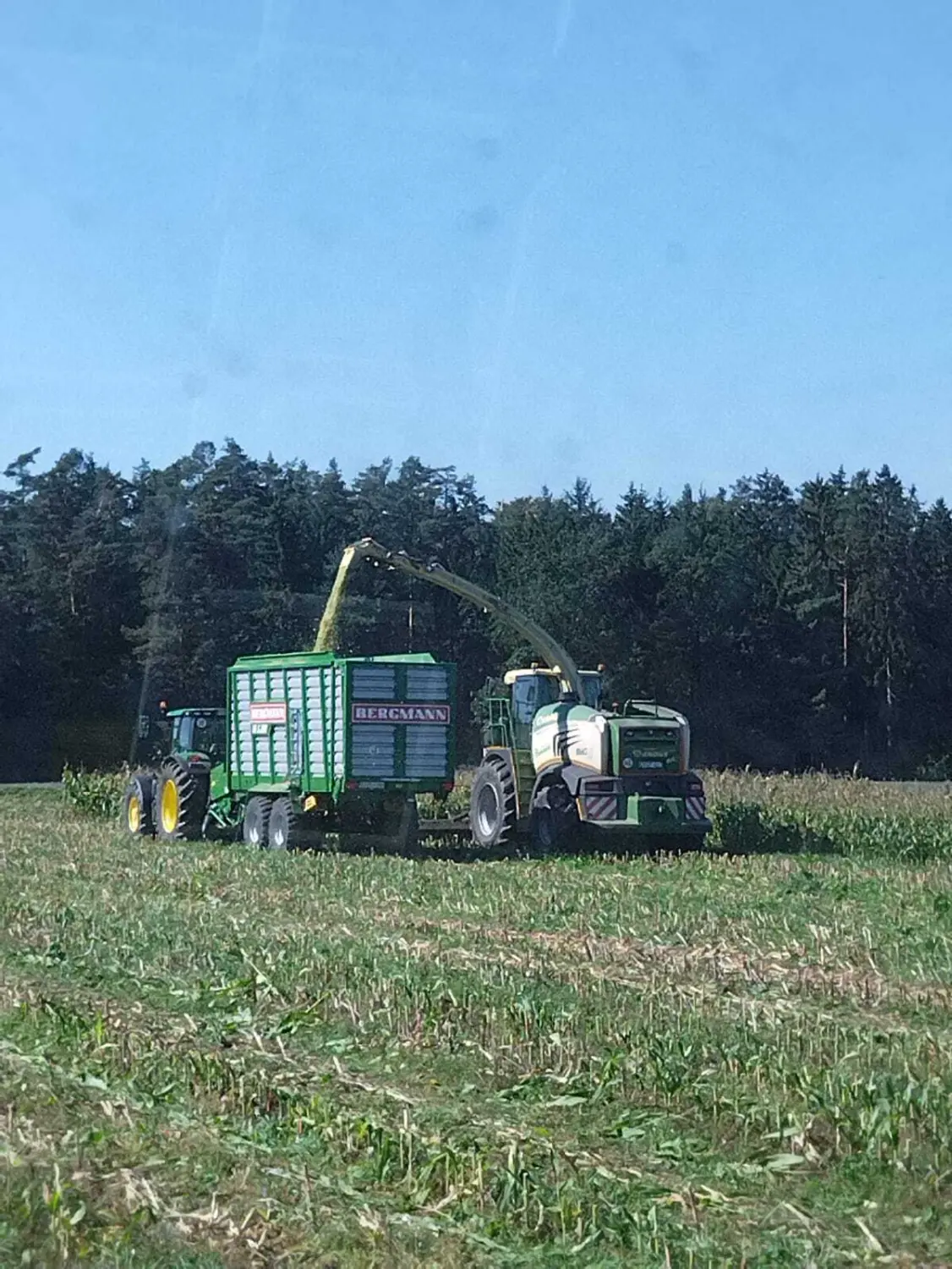        Silagetransport mit Kurzschnitt - Ladewagen 