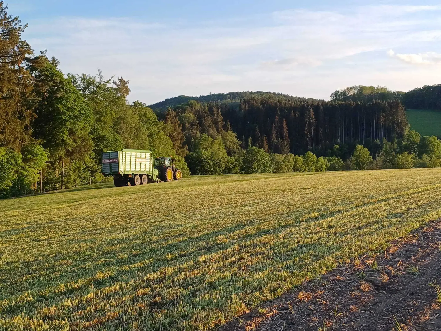        Silagetransport mit Kurzschnitt - Ladewagen 