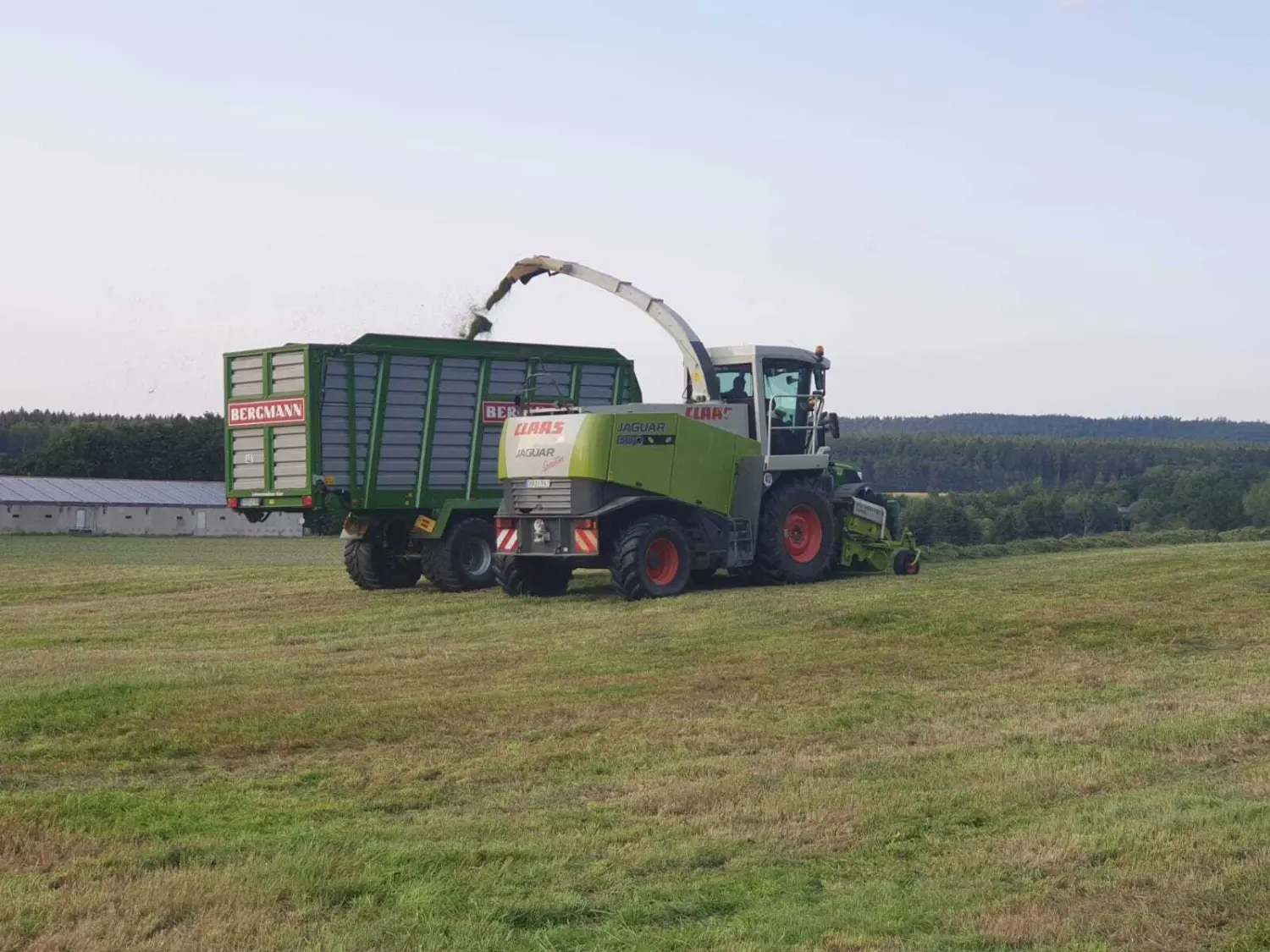        Silagetransport mit Kurzschnitt - Ladewagen 