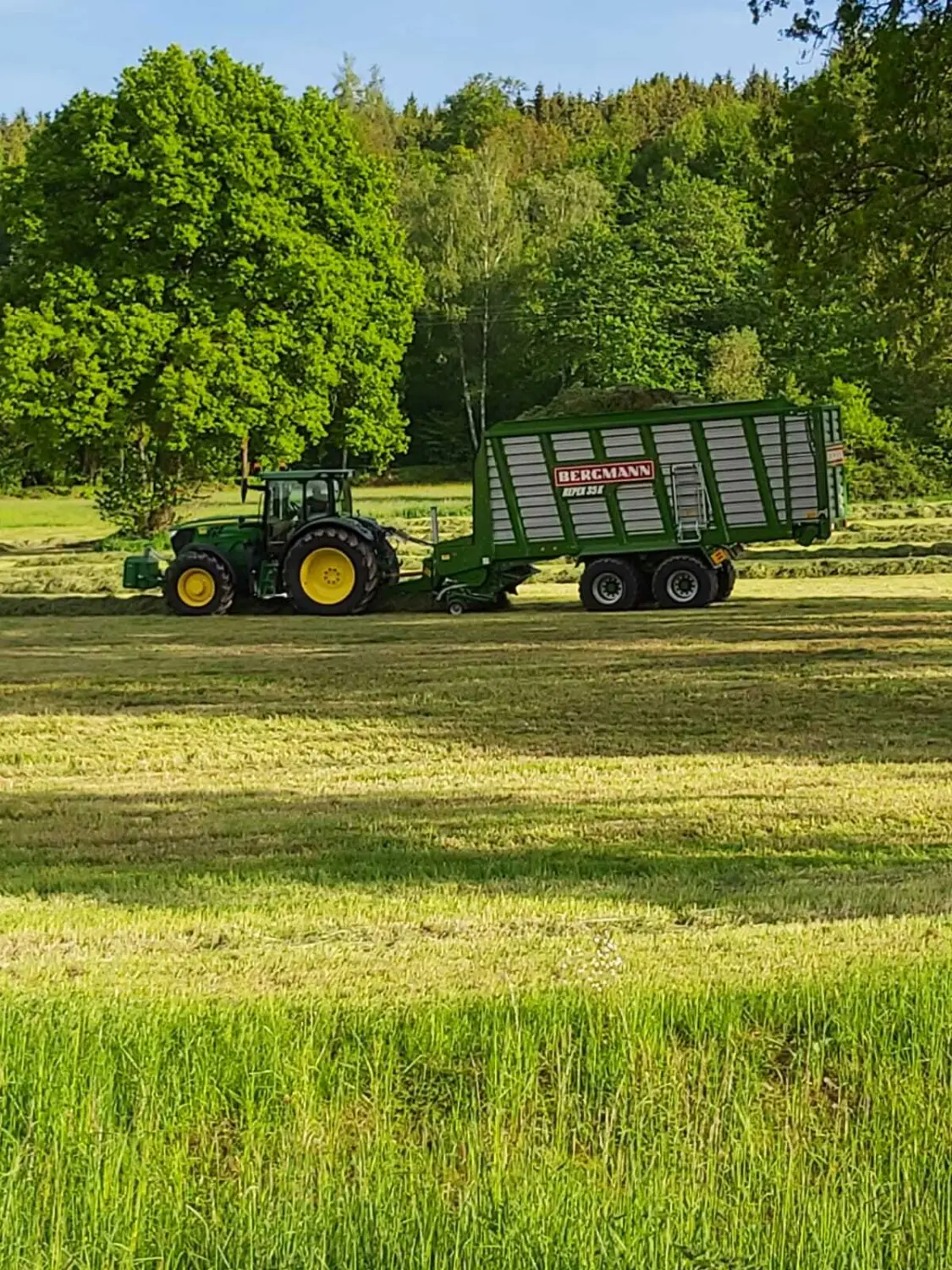 Silagetransport mit Kurzschnitt - Ladewagen 