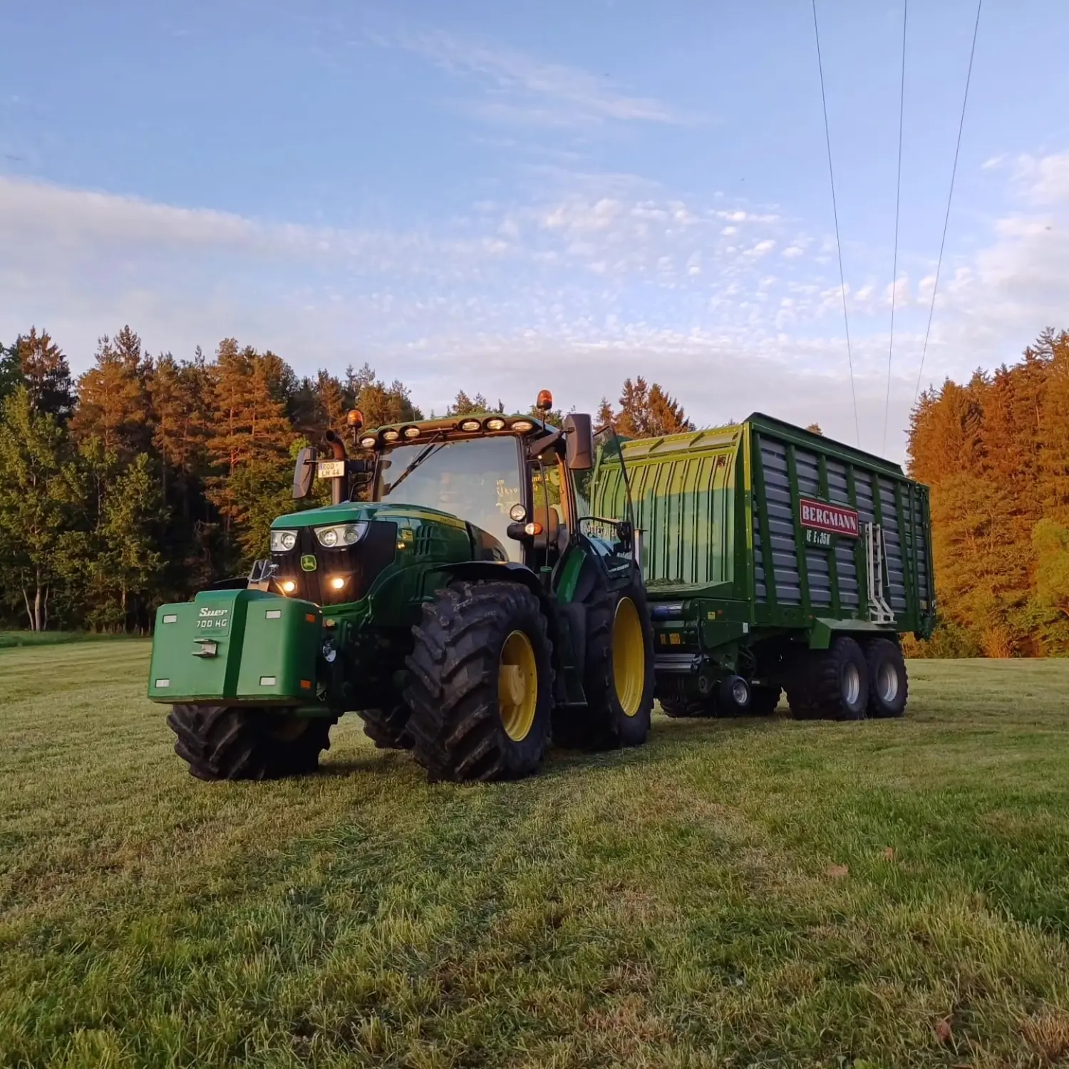Silagetransport mit Kurzschnitt - Ladewagen 