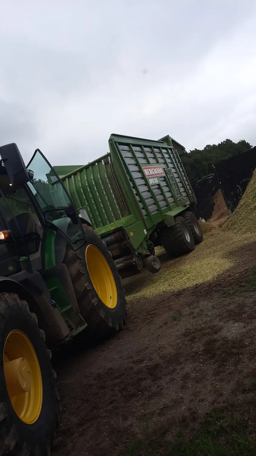Silagetransport mit Kurzschnitt - Ladewagen 