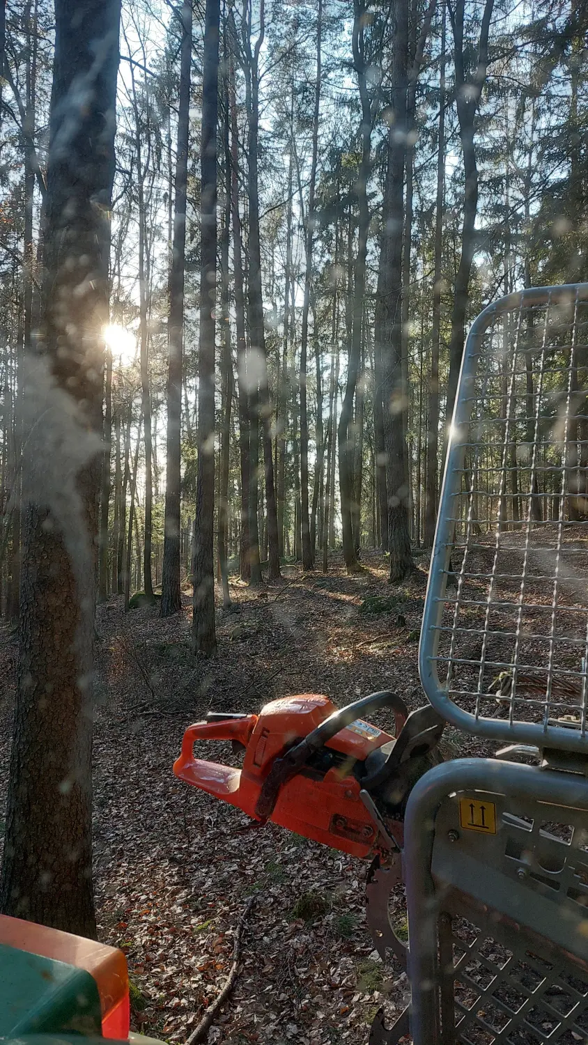Forstarbeiten vom Lohnunternehmen Meier